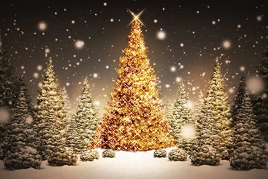 Christmas Snow Desktop Wallpaper, Christmas Snow Images