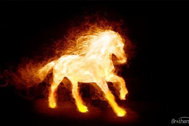 Download Free Fire Horse Animated Wallpaper, Fire Horse Animated ...
