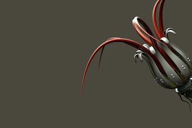 3D, Flowers Wallpapers – Yoyowall.com