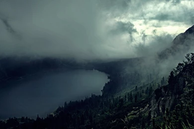 Dark Foggy Forest And Lake Desktop Wallpapers