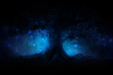 Dreamscene.org Gallery/Download Free Dreamscenes, Video Loops ...