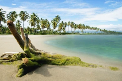 1920x1080px Beach Wallpapers Download Hd