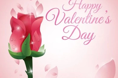 Rose Valentine Day Backgrounds Vector