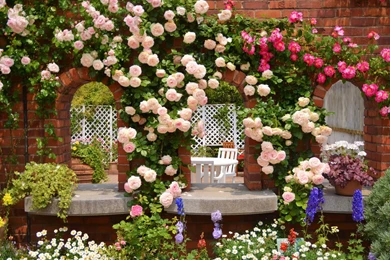 Rose Garden Wallpapers 2048x1328.jpg