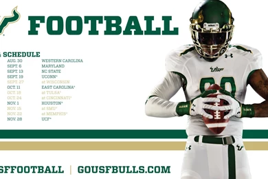 2014 Football Wallpapers GoUSFBulls.com—Official Athletics Web ...