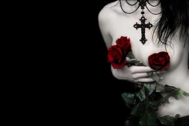 Beautiful Girl Roses