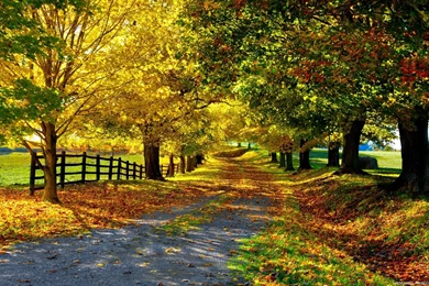 Country Road Wallpapers Wallpaper.