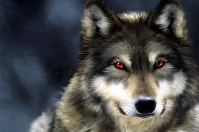 Wallpapers De Lobos 1024x768 :: Fundos De Ecrã