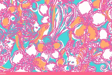 An Unofficial Collection Of Lilly Pulitzer Prints