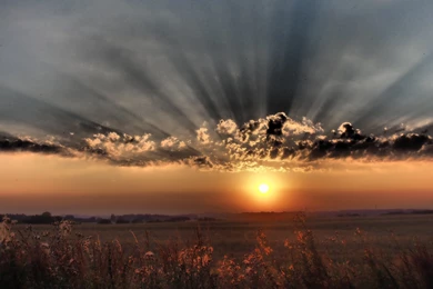 Dreamy Sunset Wallpapers