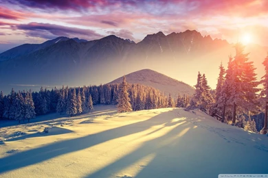 Sunset Winter Shadows Wallpapers Mantra
