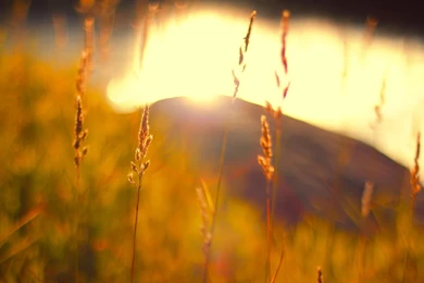 Colorful Autumn HD Wallpapers 8.jpg