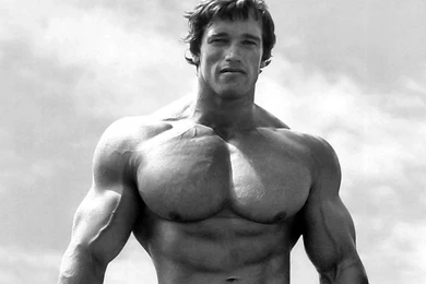 Arnold Schwarzenegger