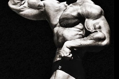 Arnold Schwarzenegger Wallpapers And Unseen Fitness ...