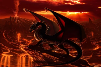Dragon Fire Full HD Pics Wallpapers 9955 Amazing Wallpaperz