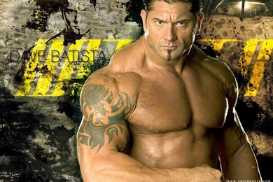 WWE CHAMPS: USA WWE SUPERSTAR'S WALLPAPERS