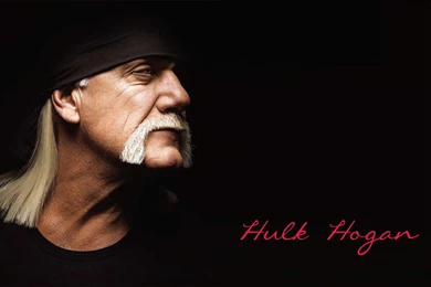 WWE Superstar Hulk Hogan 2014 Free Wallpapers