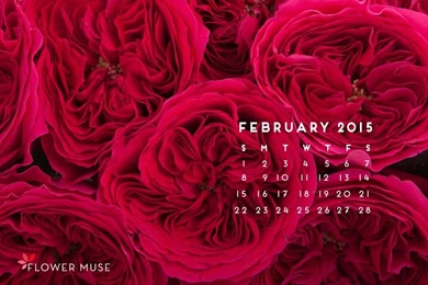 February 2015 Calendar