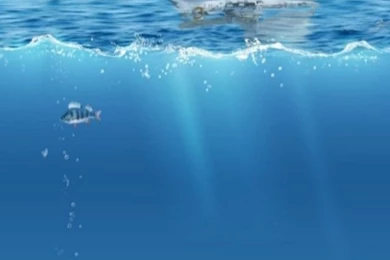 Iphone Nature Hd Wallpapers 91417