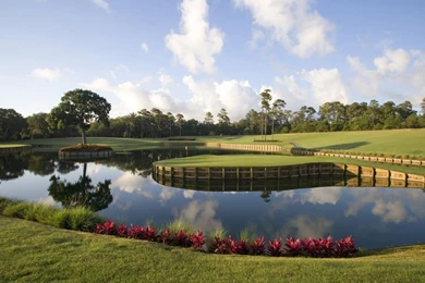 Sawgrass Players Club Real Estate