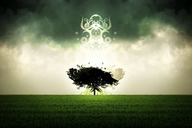 The Tree Spirit 2560x1600 WHQD 16/10 (Wide Quad High ...
