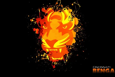49 Cincinnati Bengals HD Wallpapers