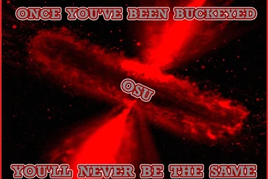 ONCE YOU;VE BEEN BUCKEYED Ohio State Buckeyes Wallpapers ...