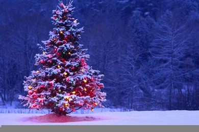 Hd Christmas Wallpapers Widescreen HD Wallpapers