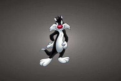 Looney Tunes Awesome HD Backgrounds (Cartoon) All HD Wallpapers