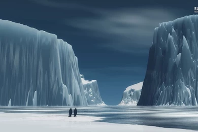 Antarctica Penguin Wallpapers Wallpaper.