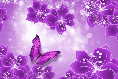 Butterfly Wallpapers HD 6962 HD Wallpapers Site