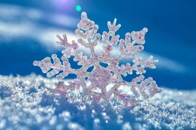 Snow Flakes Wallpapers 2015 Grasscloth Wallpapers