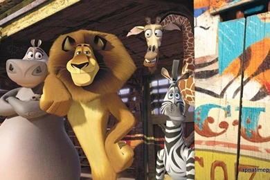 Madagascar 3: Europe's Most Wanted Movie Wallpapers