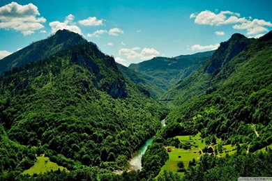 Green Mountains And The River Wallpapers And Images Wallpapers ...