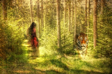 Forest Nature Tree Landscape Artwork Mood Girl Girls Tiger ...