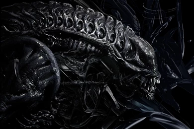 Aliens Queen Xenomorph Wallpapers