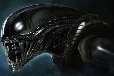 404 Alien HD Wallpapers