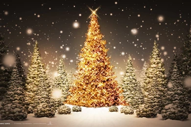 FreePhotoz Daily Wallpapers & Backgrounds Christmas Tree Desktop ...