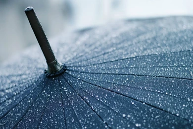 Amazing photography wallpaper.jpg