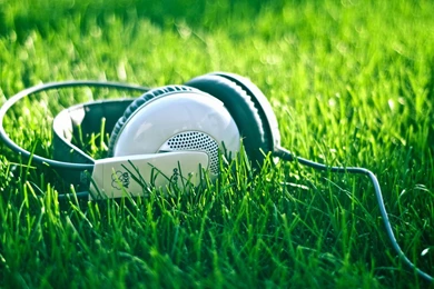 Photography Wallpapers 712563