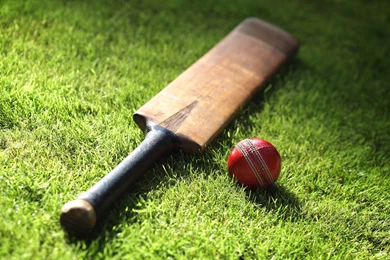 Cricket Wallpapers High Quality