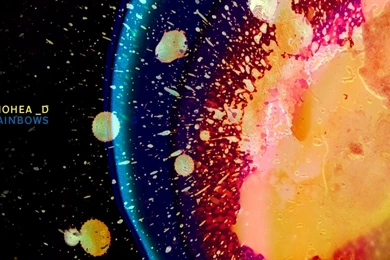 In Rainbows Wallpapers 1280x1024 (