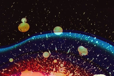 This Is The Way, Step Inside.