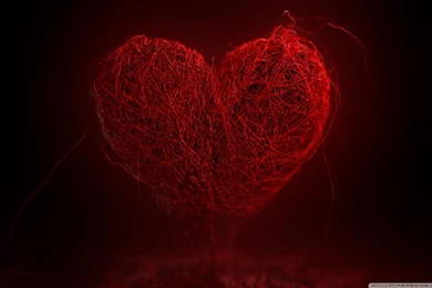 My Heart HD Desktop Wallpapers : High Definition : Mobile