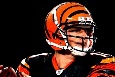 Cincinnati Bengals Fan WebsiteCIN Bengals