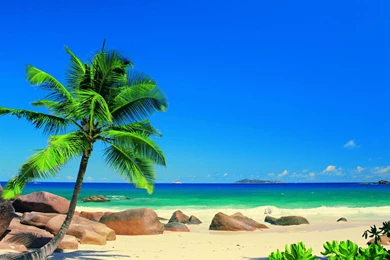 Pure paradise stunning exotic beach crystal blue waters.jpg
