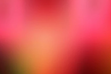 Poppin' Bottles And Brushes