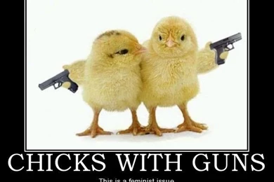 New Book : 'Chicks With Guns': Some 15 Million US Women Pack Heat ...
