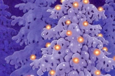 Wallpapers For iPhone 5 Find A Wallpaper, Backgrounds Or Lock ...