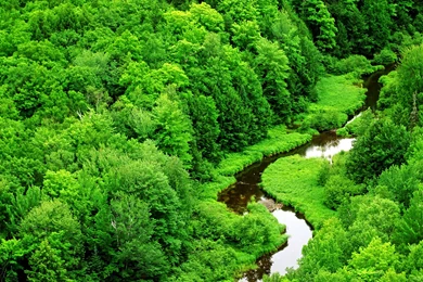 Beautiful Beach Hd Wallpapers (128)